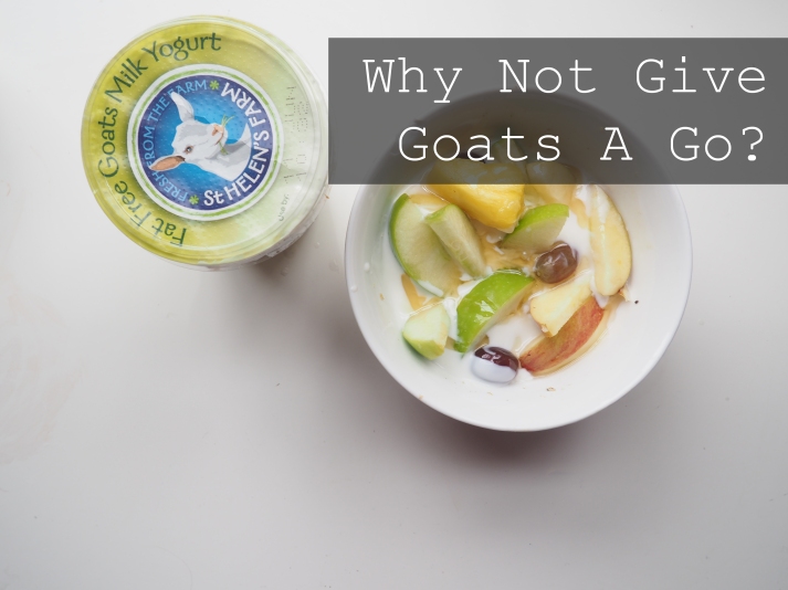 Why not give goats a go?  St Helen's Farm Goats Milk products